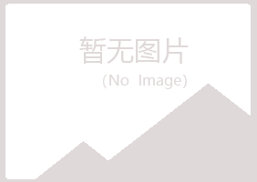 城中区夜山音乐有限公司